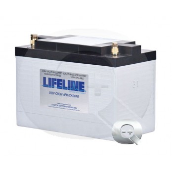 Comprar online la Batería Lifeline GPL-31T