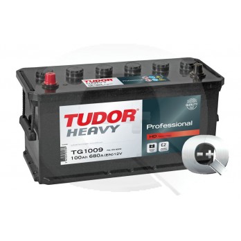 Comprar online la Batería Tudor Professional TG1009