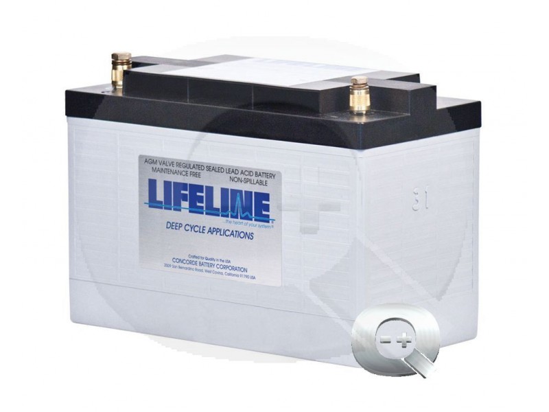 Comprar online la Batería Lifeline GPL-31T